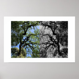 Knots Reflection Photography Poster