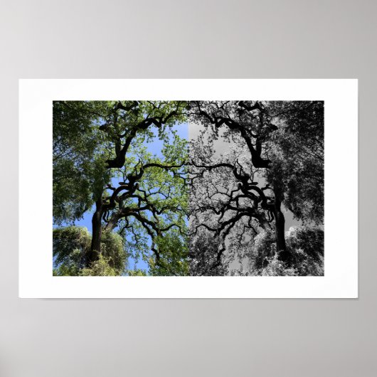 Knots Reflection Photography Poster (Vorne)