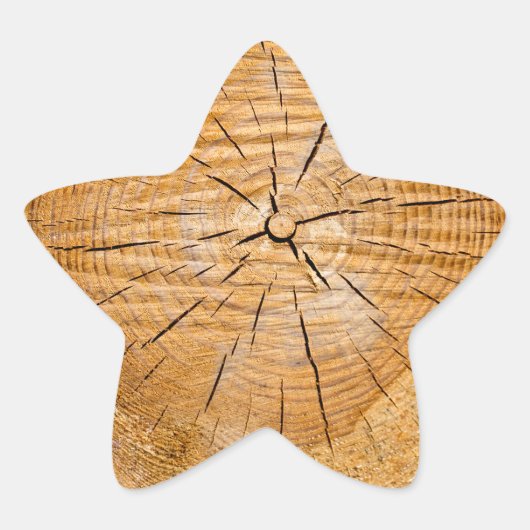 Knotty Wood Slice of Life Stern-Aufkleber (Vorderseite)