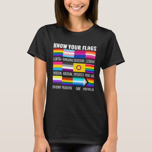 Know Your Flags LGBTQ+ Gay Pride Flag Transgender  T-Shirt (Vorderseite)