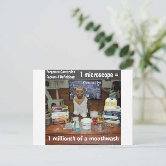 Knowledge Hund Vergessene Umstellungen Mikroskop Postkarte (Stehend Vorderseite)