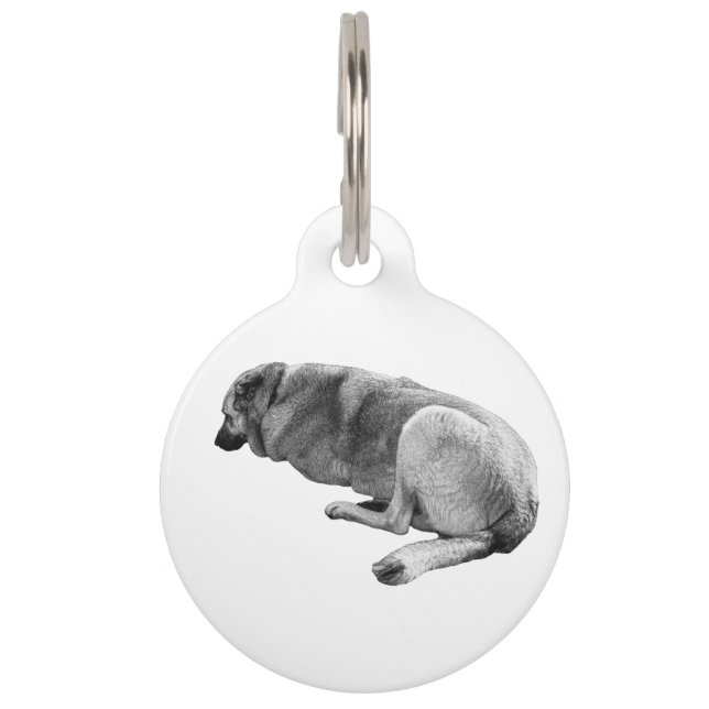 Known by Calm Haustiermarke (Vorderseite)