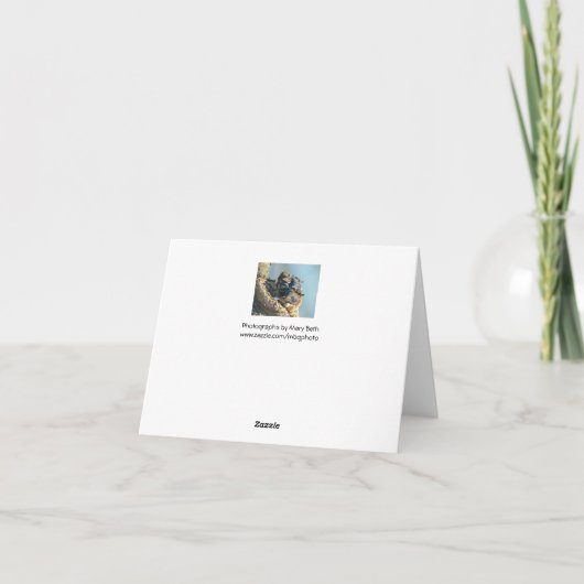 Knuddelige Drosseln Dankeskarte (Rückseite)