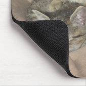 Knuddelige Kätzchen Mousepad (Ecke)