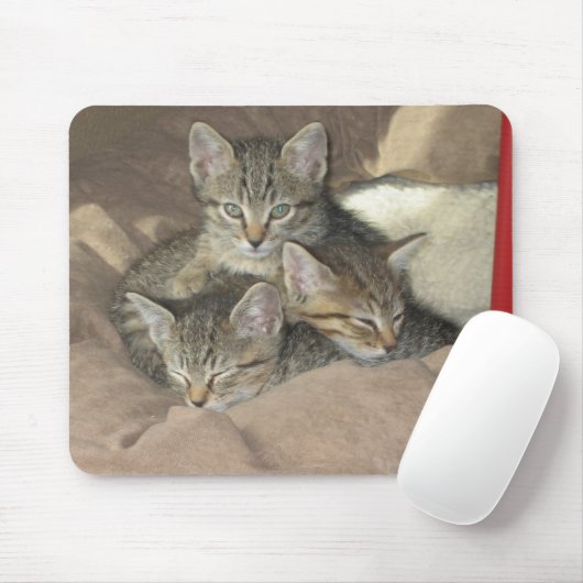 Knuddelige Kätzchen Mousepad (Mit Mouse)