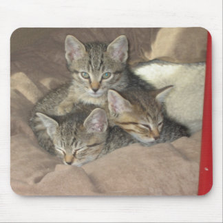 Knuddelige Kätzchen Mousepad