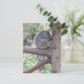 Knuddeliger Koala Postkarte (Stehend Vorderseite)