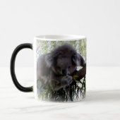 Knuddeliger Koala Verwandlungstasse (Links)