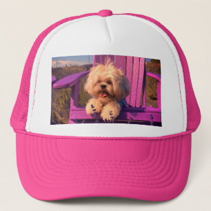Knuddiger neugieriger Shih Tzu-Welpe, Hund entspan Truckerkappe