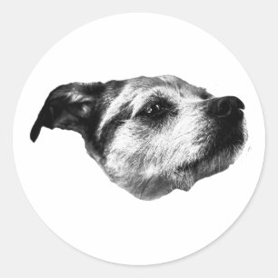 Knusprige Nacht, weiche Paws — Terrier Runder Aufkleber