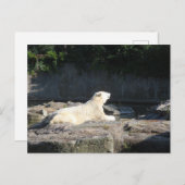Knut der Polarbär aus dem Berliner Zoo Jigsaw Puz Postkarte (Vorne/Hinten)