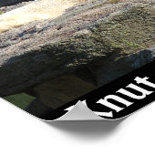 Knut der Polarbär aus dem Berliner Zoo Poster (Ecke)