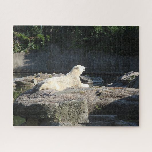 Knut der Polarbär aus dem Berliner Zoo Puzzle (Horizontal)