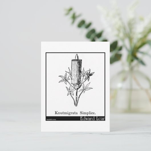 Knutmigrata Simplice. Postkarte (Stehend Vorderseite)