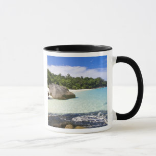 Ko Miang Insel, Simil Inseln im Andam Meer, Tasse