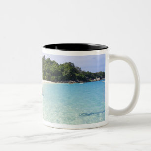 Ko Miang Insel, Simil Inseln im Andam Meer, Zweifarbige Tasse