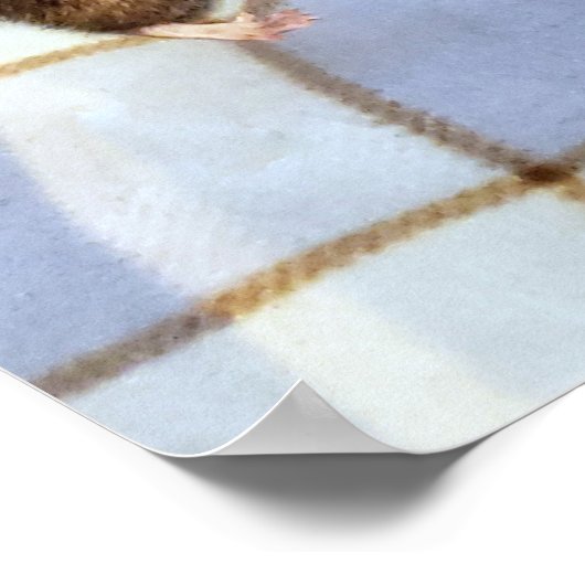 Koa und Caleb Poster (Ecke)