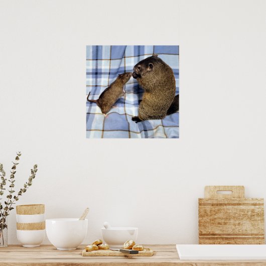 Koa und Caleb Poster (Küche)