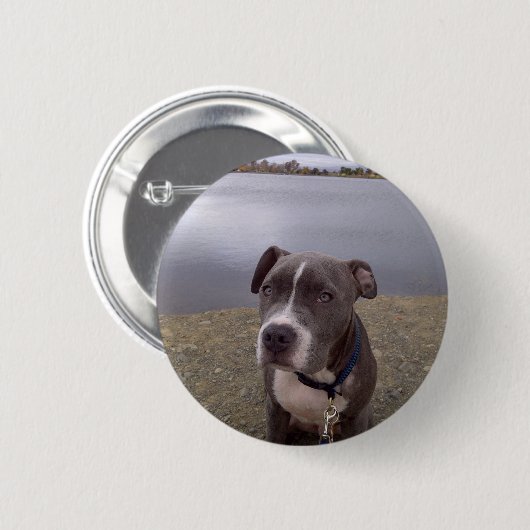 Koa Vasona Park Button (Vorne & Hinten)