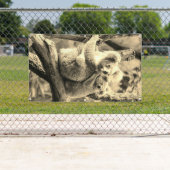 KOAHLA BAR UND CUB Banner MIT BAUMMETEN (Insitu)