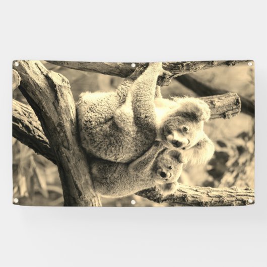 KOAHLA BAR UND CUB Banner MIT BAUMMETEN (Horizontal)