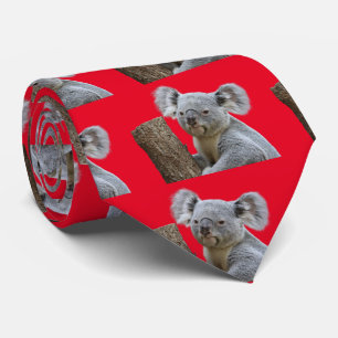 Koala ネ イ タ krawatte