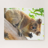 KOALA 16x20 INCH Puzzle (Horizontal)
