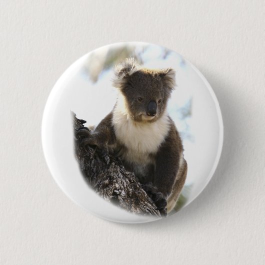 Koala 2 button (Vorderseite)