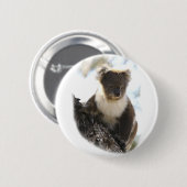 Koala 2 button (Vorne & Hinten)