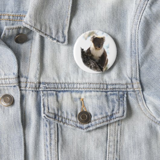 Koala 2 button (Beispiel)