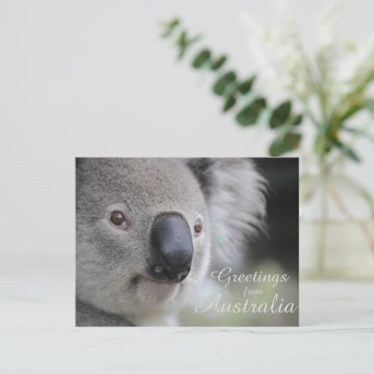 Koala 2 - Grüße Postkarte (Stehend Vorderseite)