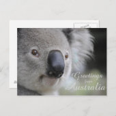 Koala 2 - Grüße Postkarte (Vorne/Hinten)