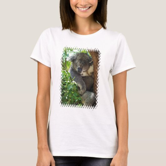 koala-34.jpg T-Shirt (Vorderseite)
