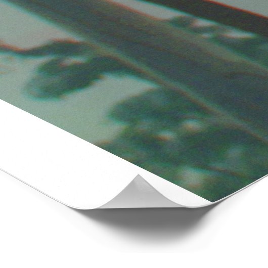 Koala 3D Anaglyph Poster (Ecke)