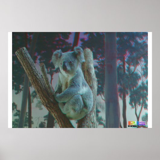 Koala 3D Anaglyph Poster (Vorne)