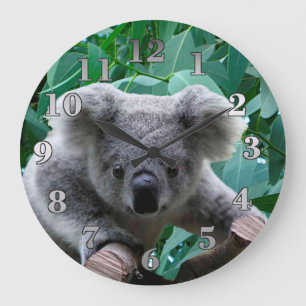 Koala and Eucalyptus Große Wanduhr