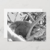 Koala asleep, Schwarz-Weiß-Foto, Australien Postkarte (Vorne/Hinten)