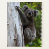 Koala Australia Foto Collage, Green 2025 Planer (Rückseite)
