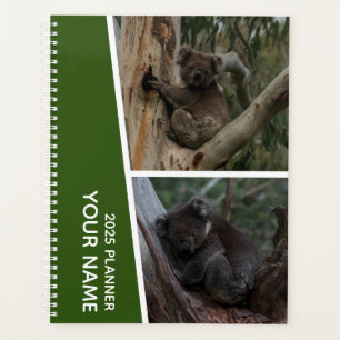 Koala Australia Foto Collage, Green 2025 Planer
