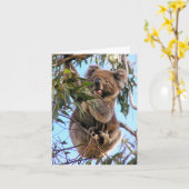 Koala Australia Greeting Card Karte (Gelbe Blume)
