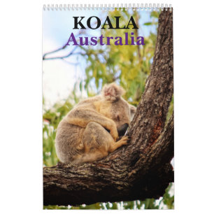 KOALA AUSTRALIA KALENDER