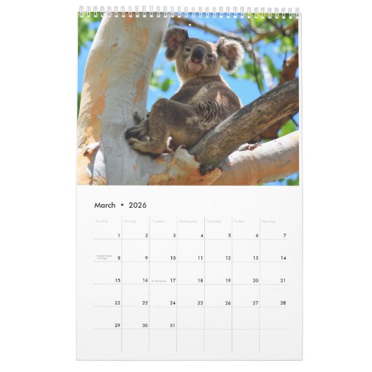 KOALA AUSTRALIA KALENDER (Mär 2026)