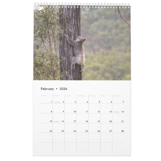 KOALA AUSTRALIA KALENDER (Feb 2026)