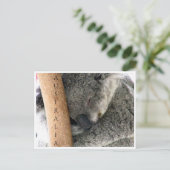 Koala australia postkarte (Stehend Vorderseite)
