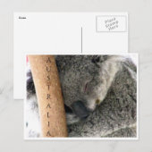 Koala australia postkarte (Vorne/Hinten)