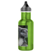 Koala Australian Christmas Candy Cane Edelstahlflasche (Rechts)