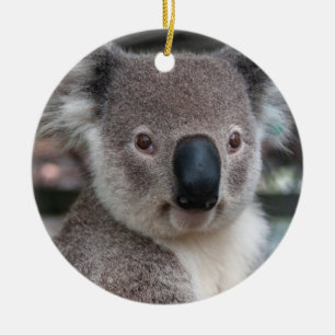 Koala Australian Keramik Ornament