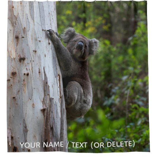 Koala Australien Duschvorhang (Vorderseite)