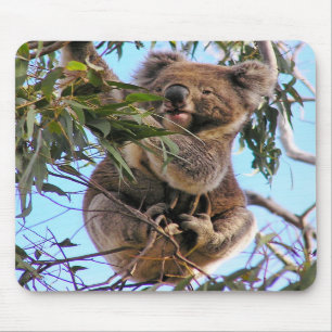 Koala Australien Mousepad