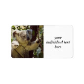 Koala-Baby Adressaufkleber (Vorne)
